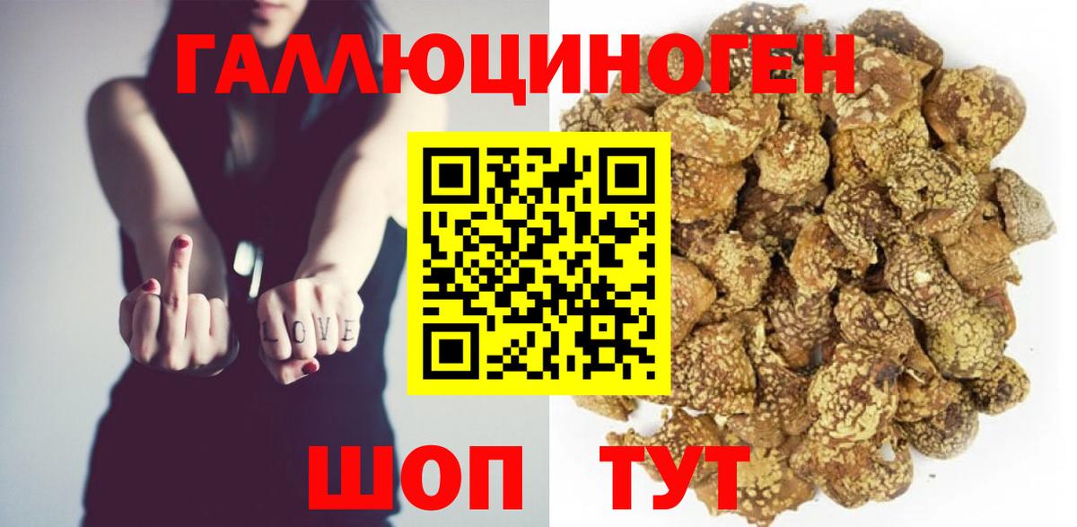 Галлюциногенные грибы GOLDEN TEACHER  Псилоцибиновые грибы мухоморы  Минусинск  Вход с VPN 